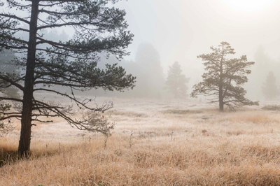 Herbst